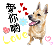 792293503