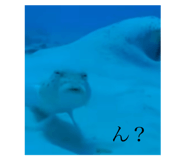 792295181