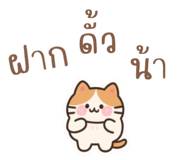 792301808