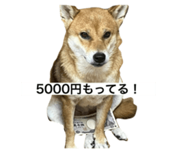 792308080