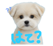 792313550