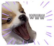 792317580