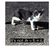 792318446