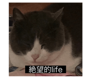 792318455