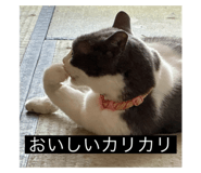 792318477