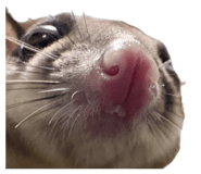 792322915