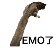 792322917