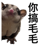 792322919