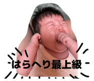 792330701