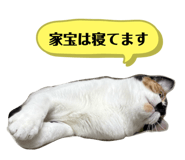 792342337