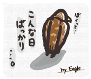792347943