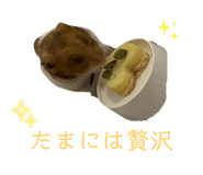 792353485