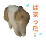 792353487