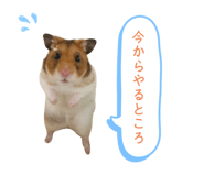 792353494