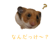 792353498
