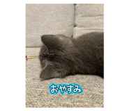 792358711
