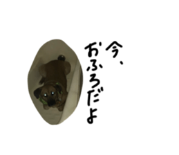 792361894