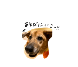 792361899