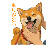 792364238