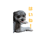 792365444