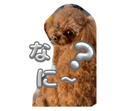 792369941