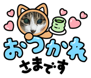 792377627