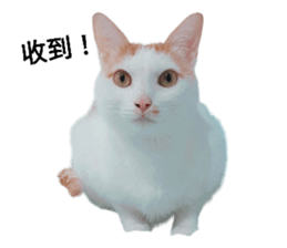 792398687