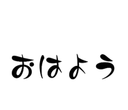 792405038