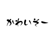 792405048