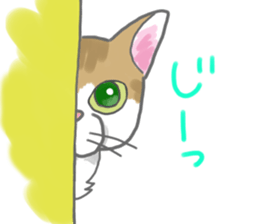 7924121