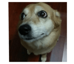 792416653
