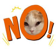 792417090