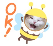 792417093