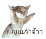 792417284