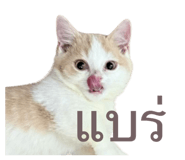 792417285