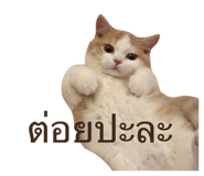 792417287
