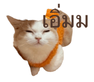 792417290
