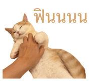 792417293