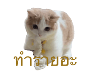 792417295