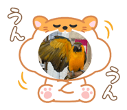 792426223