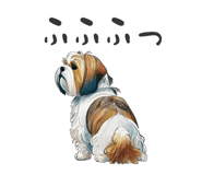 792437543