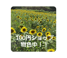 792443551
