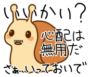 792445561