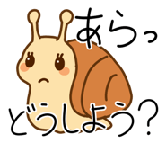 792445576