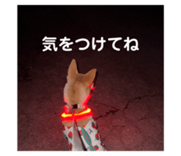 792453923