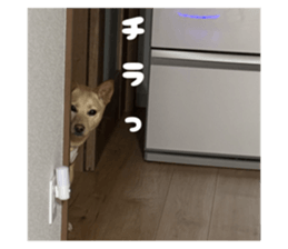 792453924