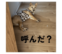 792453926