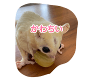 792454815