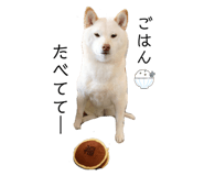 792455580