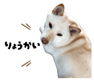 792455582